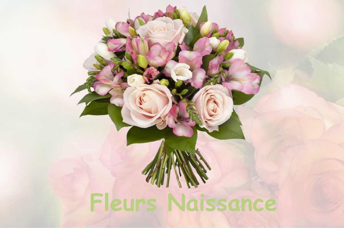 fleurs naissance SAINT-PE-D-ARDET