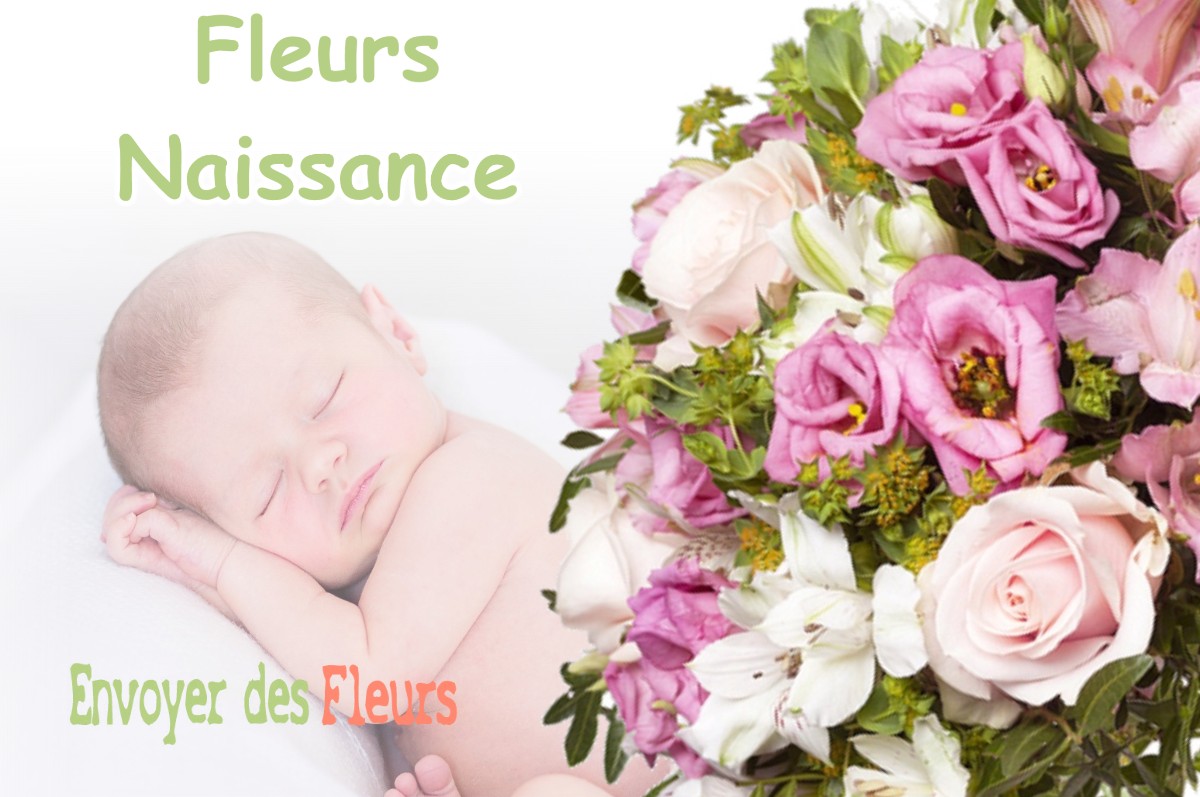 lIVRAISON FLEURS NAISSANCE à SAINT-PE-D-ARDET