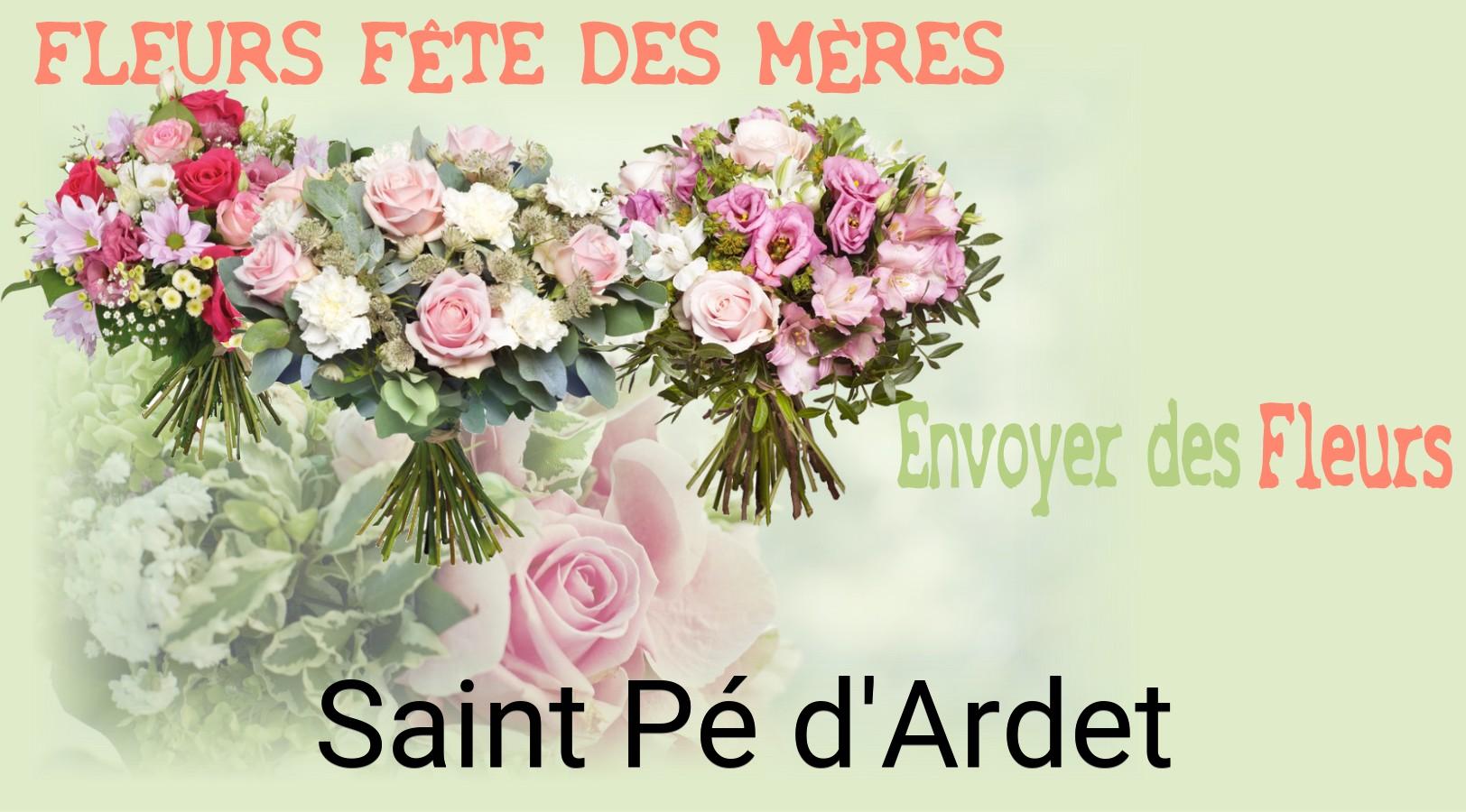 Bouquet de Fête des Mères livré à Saint-Pé-d'Ardet
